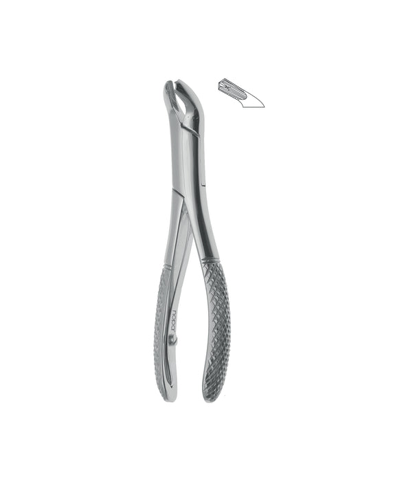 Extracting Forceps # 17Sk