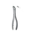 Extracting Forceps # 17Sk