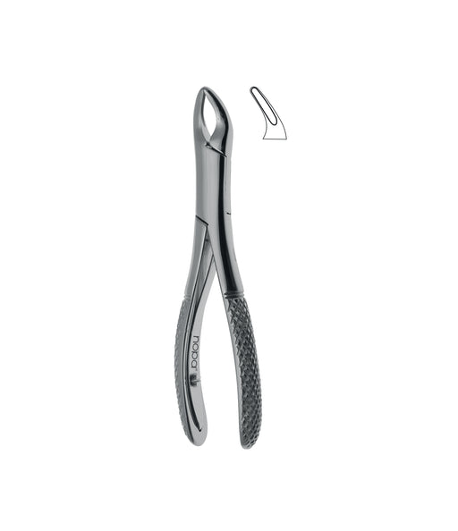 Extracting Forceps # 150Sk