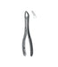 Extracting Forceps # 150Sk