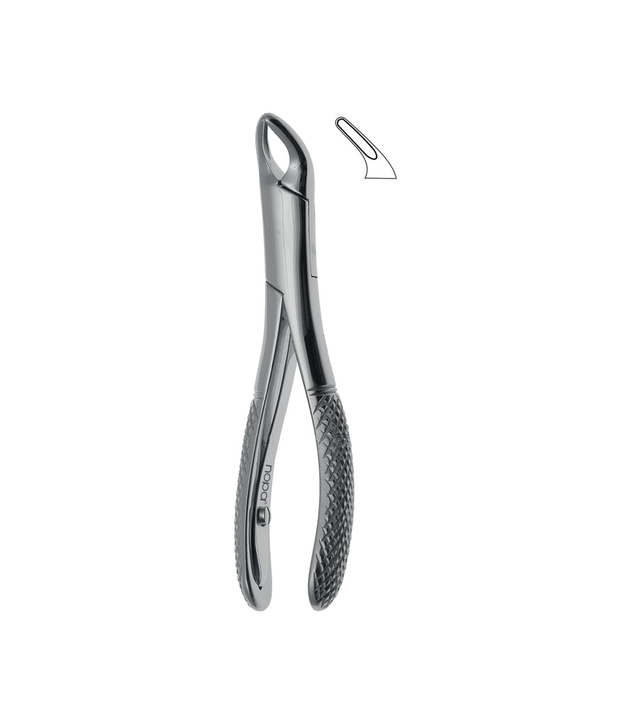 Extracting Forceps # 151Sk