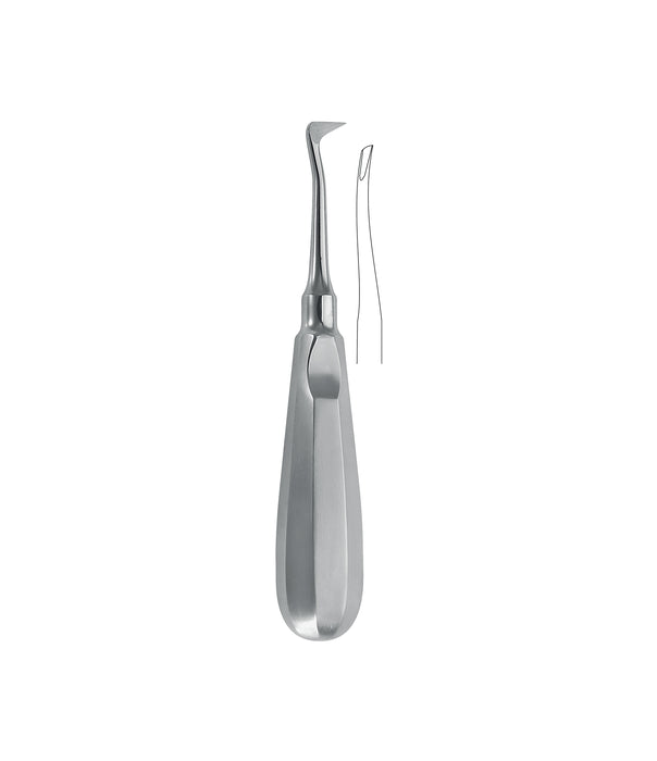 Seldin Root Elevator Figure 77R