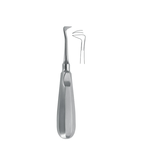 Seldin Root Elevator Figure 1R