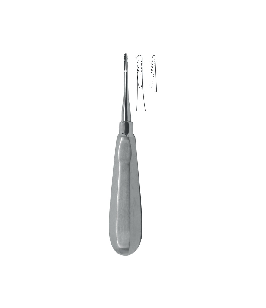 Lindo Levian Root Elevator Figure 1