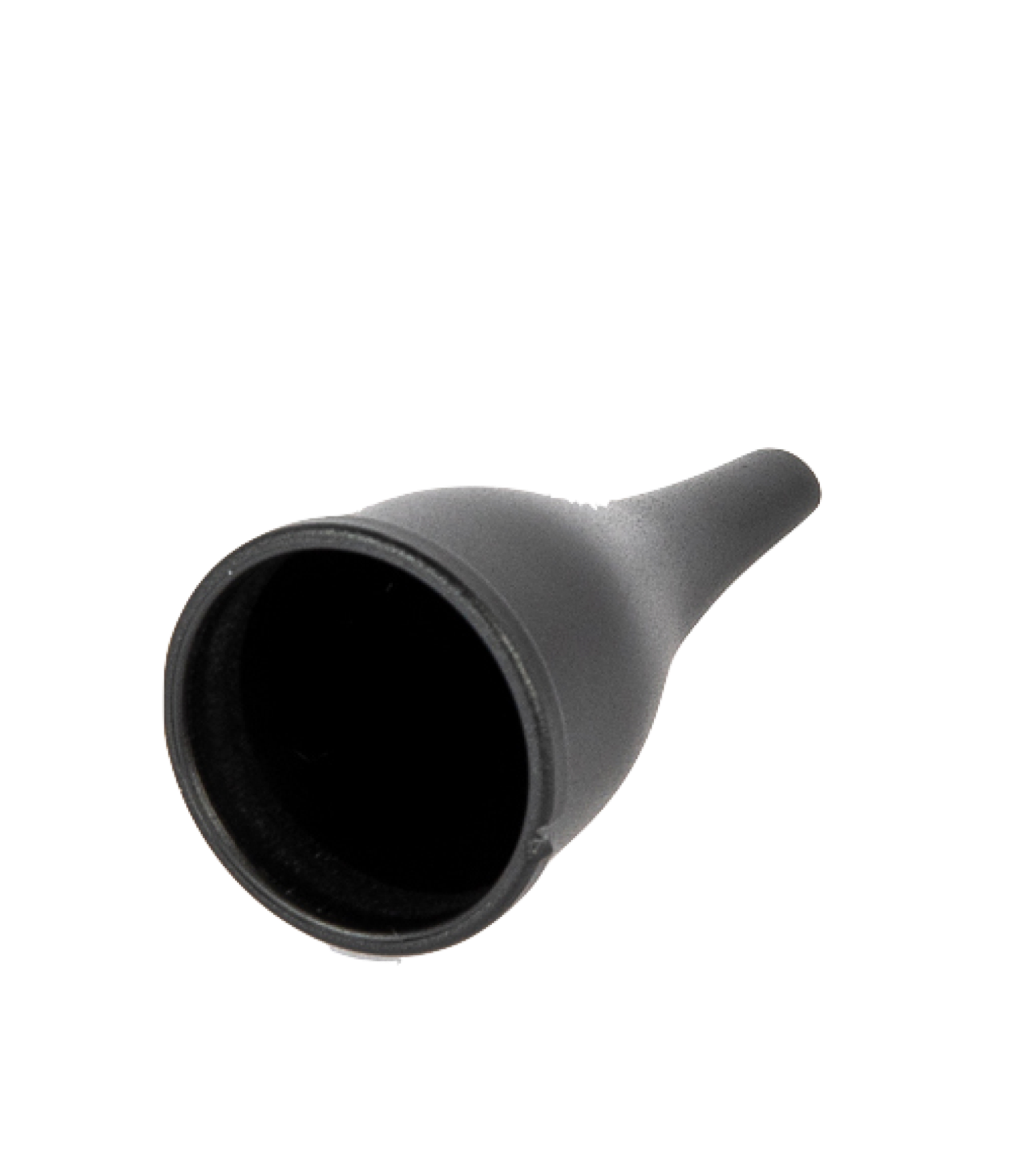 Tempo Di Forasacchi - Ambulatorio Veterinario Gabbro - Foto 9